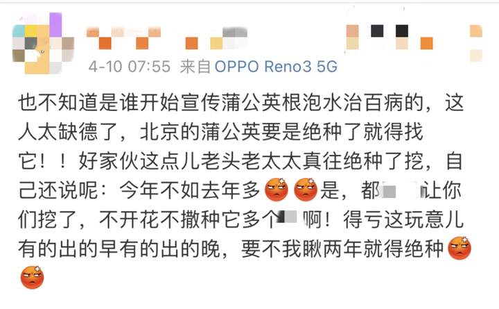 补硒可以泡西洋参吗(西洋参片泡水补肾吗)-硒宝网