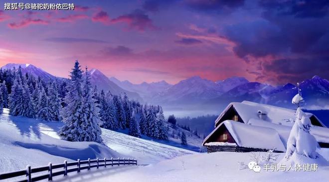 驼奶补钙吗（驼奶钙片有用吗）-硒宝网