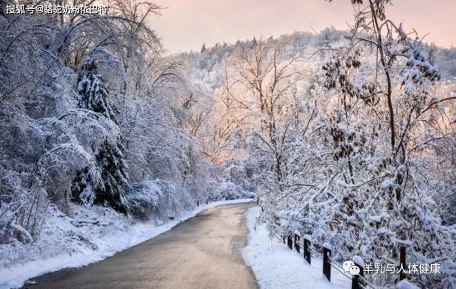 驼奶补钙吗（驼奶钙片有用吗）-硒宝网