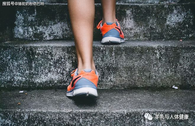 驼奶补钙吗（驼奶钙片有用吗）-硒宝网