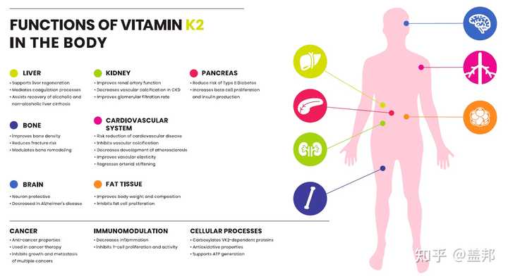 几个月可以补钙(补钙可以吃钙片吗)-硒宝网