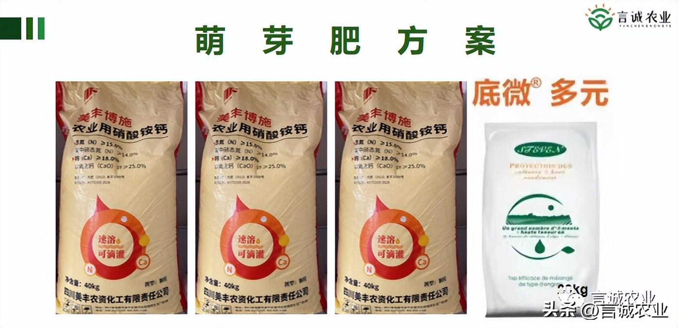 猕猴桃补钙吗（猕猴桃补钙的最佳时间）-硒宝网