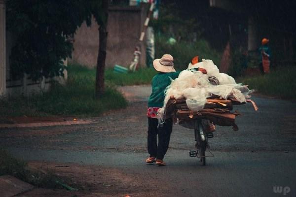 猕猴桃补钙吗（猕猴桃补钙用什么好）-硒宝网