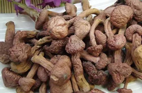 血糖高补硒能降糖吗(血糖能补降糖高硒吗)-硒宝网