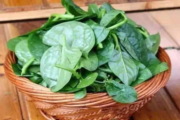 吃海带补钙吗(海带补什么钙)-硒宝网