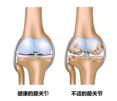 补钙喝什么奶粉好(奶粉喝补钙好还是补钙)-硒宝网