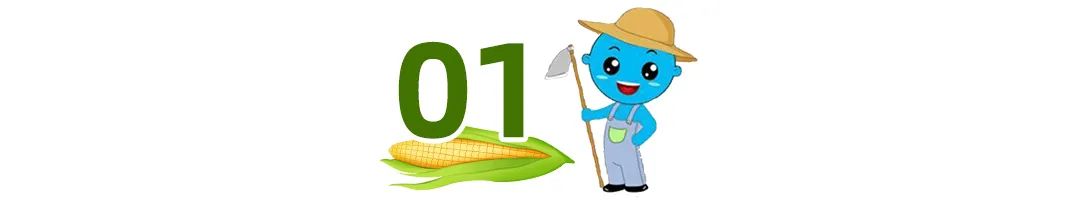 骨肽补钙效果好不好(补钙骨肽的效果怎么样)-硒宝网