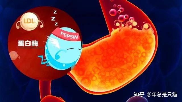 甲状腺癌补硒有用吗(甲状腺癌吃硒片好吗)-硒宝网