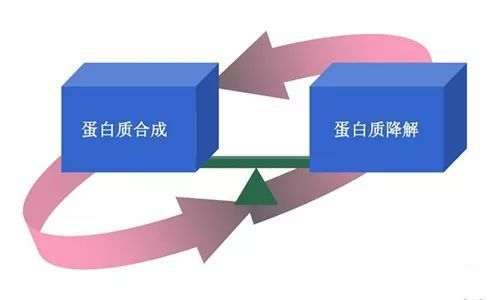 缺锰和硒要补什么钙(锰和硒怎么补)-硒宝网