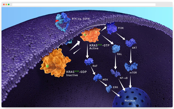 缺锰和硒要补什么钙(锰和硒怎么补)-硒宝网