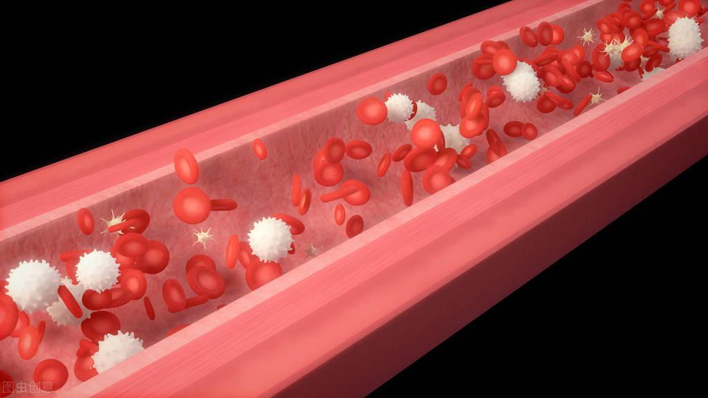 孕妇补铁吃什么 食物(孕妇吃补铁的食物)-硒宝网