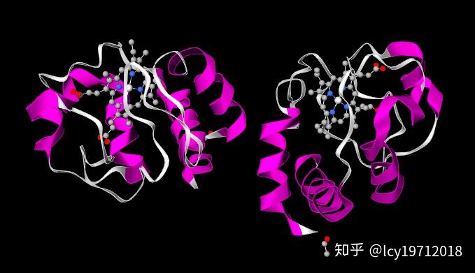 抗病毒治疗可以补硒(硒片抗病毒吗)-硒宝网