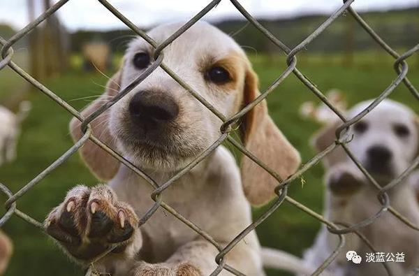 补硒与艾滋病有关吗(hiv补硒)-硒宝网