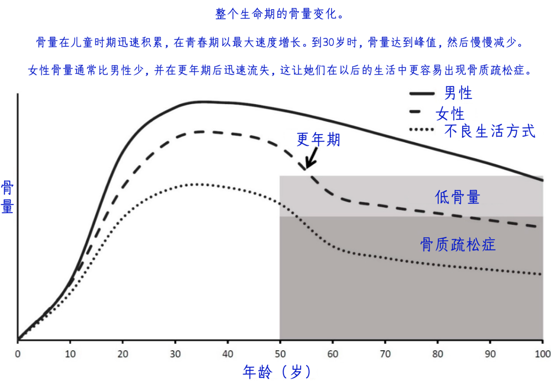 补钙（补钙会得结石吗）-硒宝网