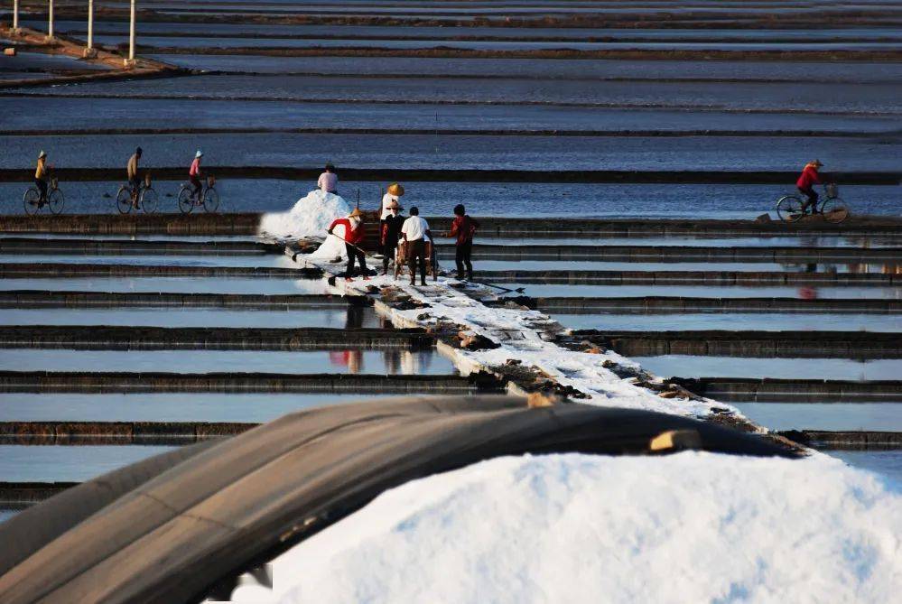 钙钾硒同时补可以吗(钙硒可以同补吗)-硒宝网