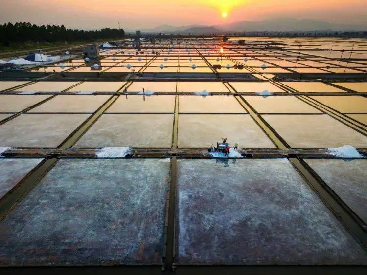 钙钾硒同时补可以吗(钙硒可以同补吗)-硒宝网