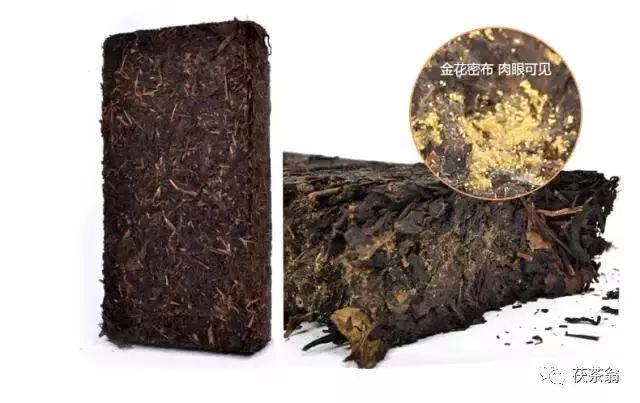 胃病患者可以补硒吗(胃病可以吃硒片吗)-硒宝网