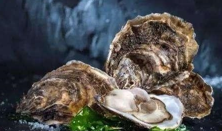 微量元素硒食物有哪些（人体微量元素硒什么食物含）-硒宝网