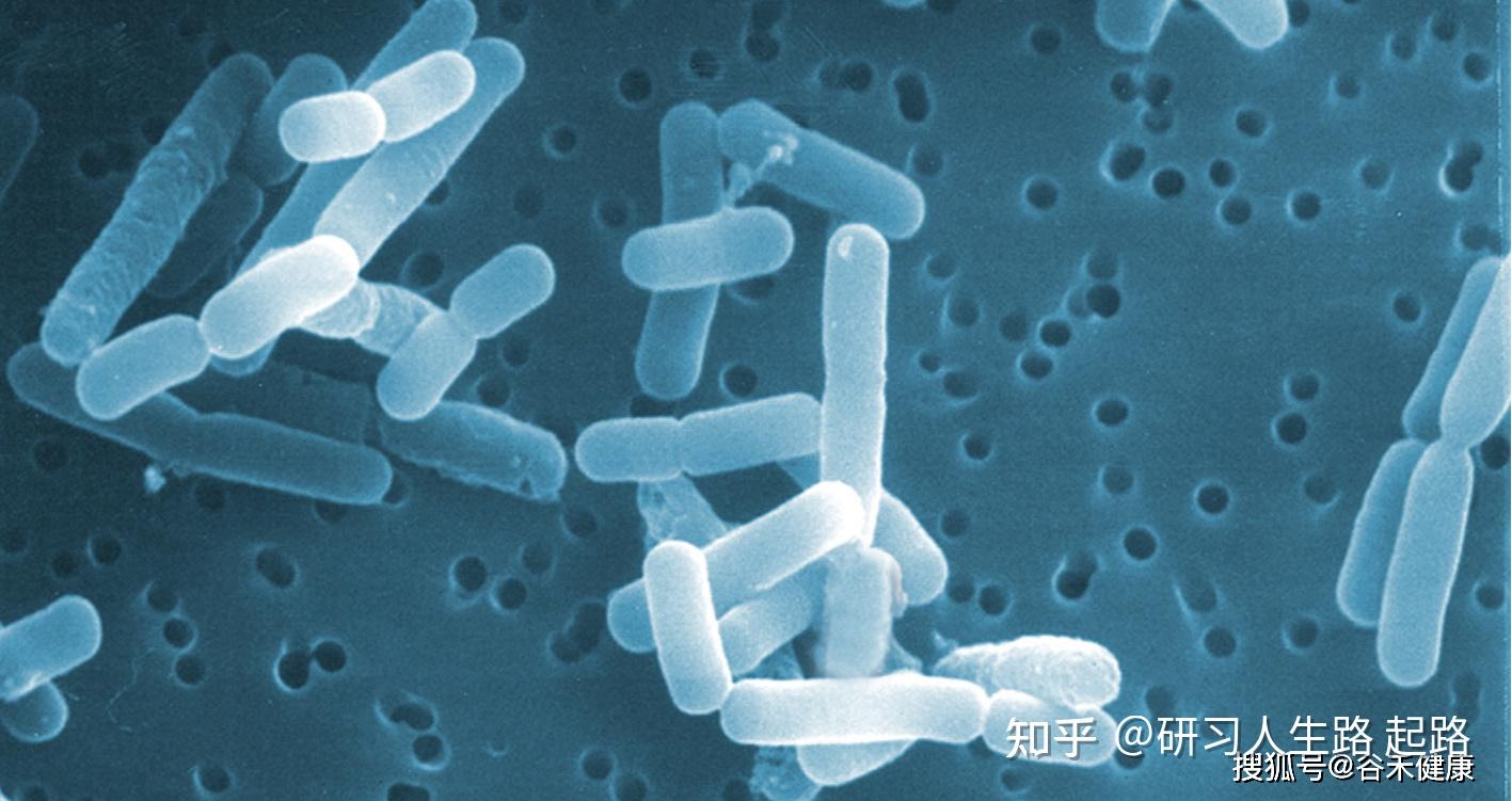 补硒对胆结石有用吗(吃硒对胆结石)-硒宝网