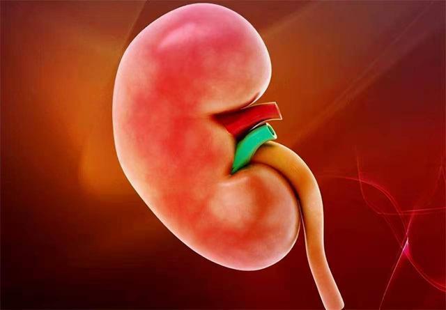 人体的微量元素（人体微量元素缺乏有什么症状）-硒宝网