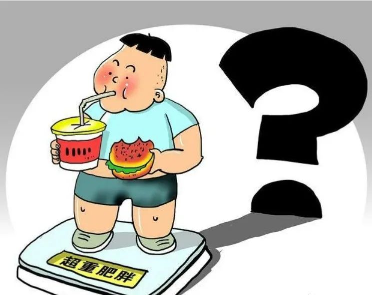 脂肪肝为什么要补硒(肝脂肪补硒要多久)-硒宝网