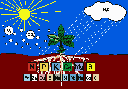 微量元素作用(微量元素作用及功能)-硒宝网