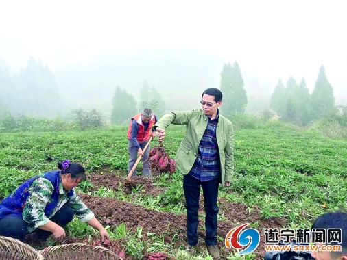 补硒的中药材有什么(补硒的中药材)-硒宝网