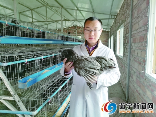 补硒的中药材有什么(补硒的中药材)-硒宝网