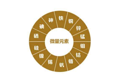 人体的微量元素(人体微量元素含量排名)-硒宝网