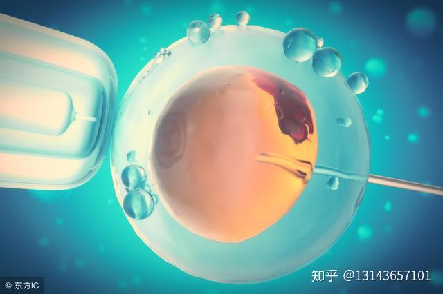 妇科炎症补硒有用吗（硒对妇科炎症）-硒宝网