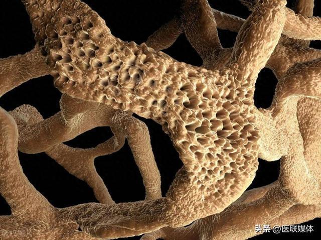 缺微量元素(缺微量元素抽搐的特征有哪些)-硒宝网