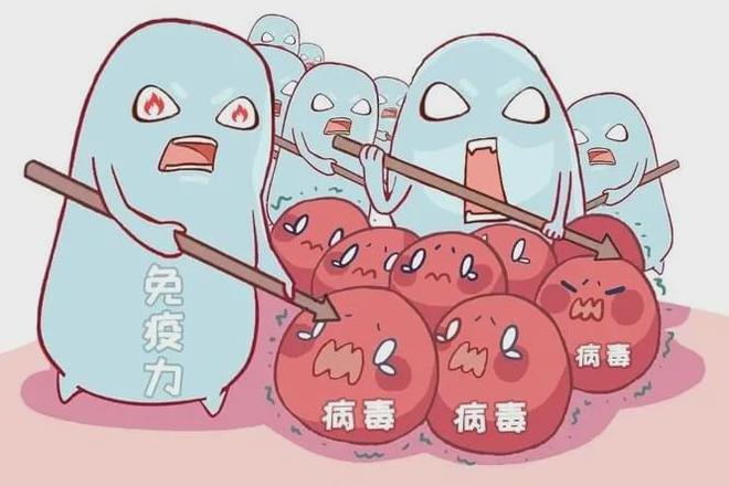 西洋参补硒吗怎么吃（硒能和西洋参一起吃吗）-硒宝网