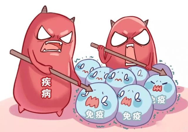 西洋参补硒吗怎么吃（硒能和西洋参一起吃吗）-硒宝网