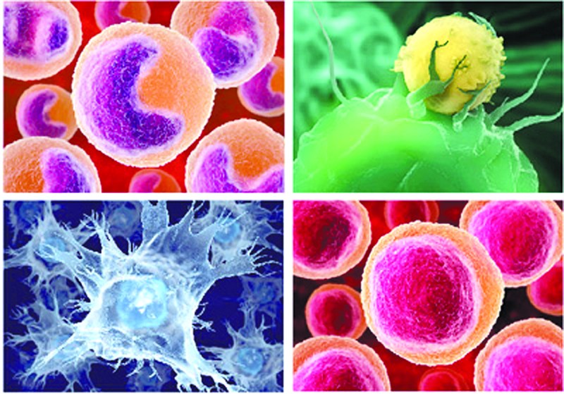 西洋参补硒吗怎么吃（硒能和西洋参一起吃吗）-硒宝网