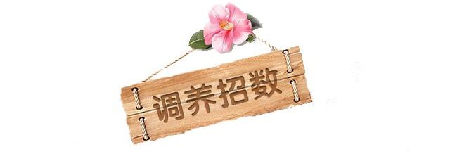 补硒对护肝药的作用（硒?；じ卧嘤心募父龇矫妫?硒宝网