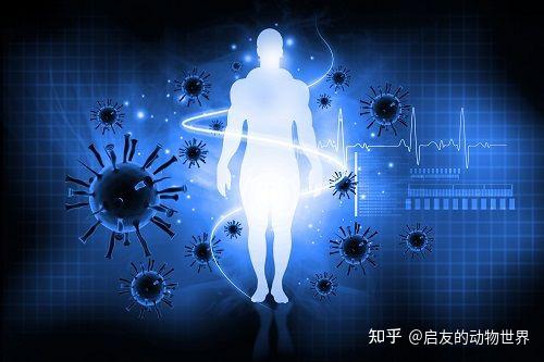 提高免疫力补硒的药（补硒免疫力）-硒宝网