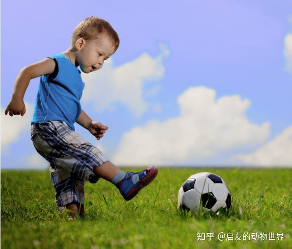 提高免疫力补硒的药（补硒免疫力）-硒宝网