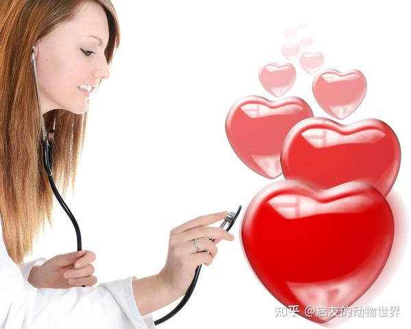 提高免疫力补硒的药（补硒免疫力）-硒宝网