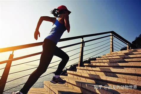 提高免疫力补硒的药（补硒免疫力）-硒宝网