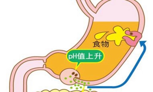 缺微量元素（缺微量元素的小孩有哪些症状）-硒宝网