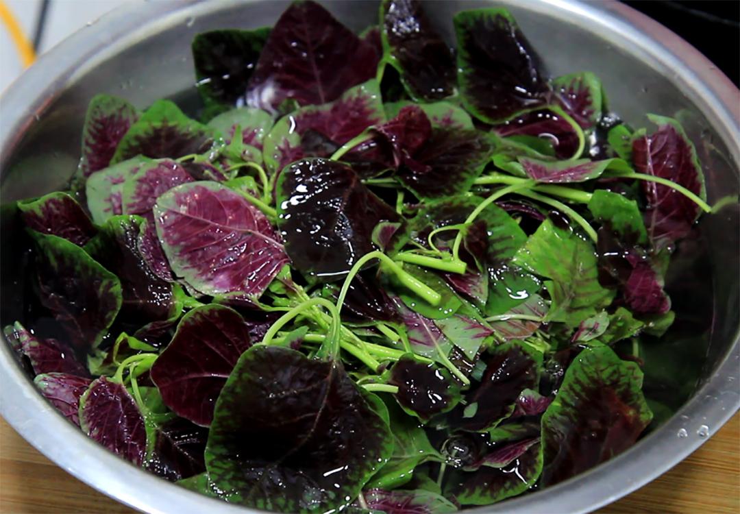 吃啥补钙最好最快(补钙吃好还是挂针好)-硒宝网