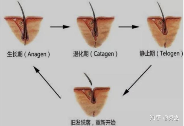 红斑狼疮能不能补硒（系统性红斑狼疮可以补硒吗）-硒宝网