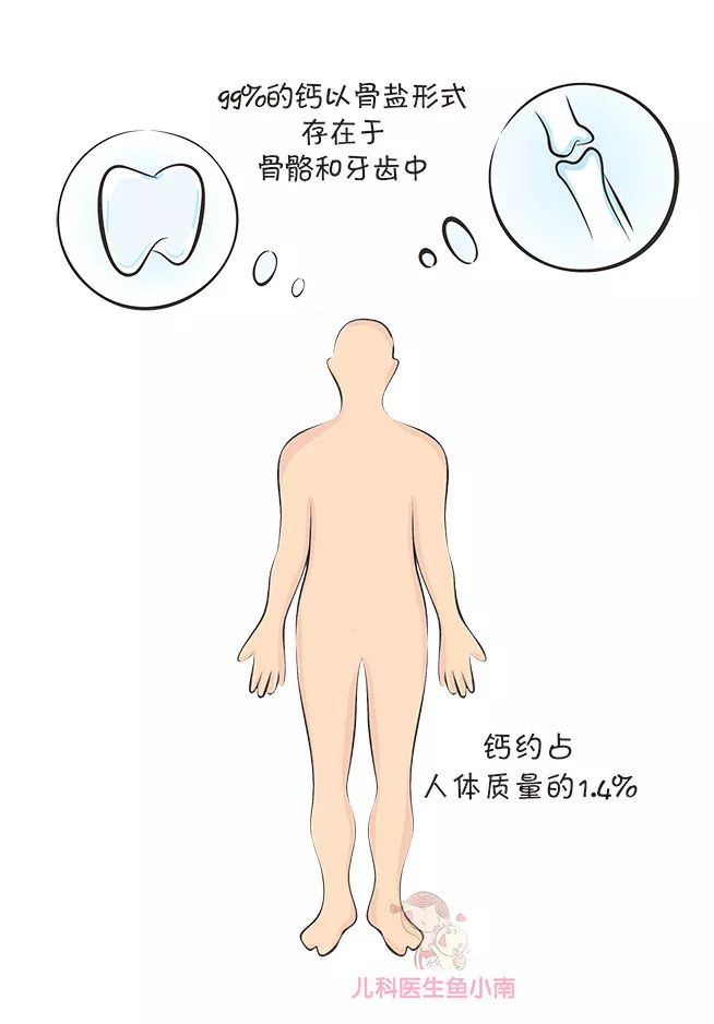 小孩不缺钙可以补钙吗（小孩补钙缺钙可以喝牛奶吗）-硒宝网