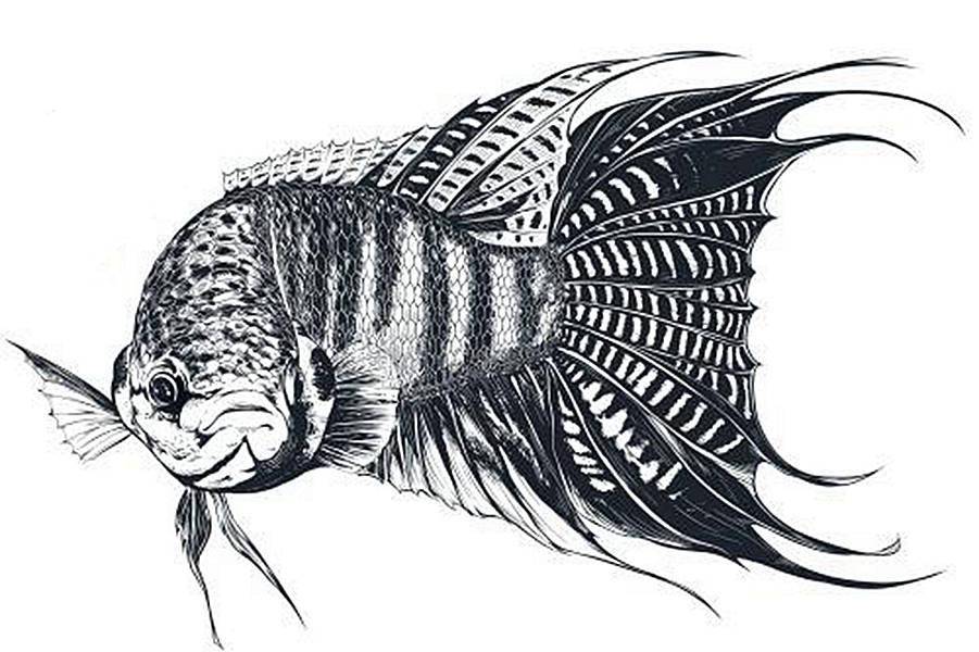 微量元素是哪6种（微量元素种类）-硒宝网