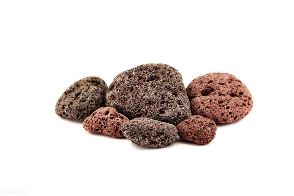 微量元素是哪6种（微量元素种类）-硒宝网