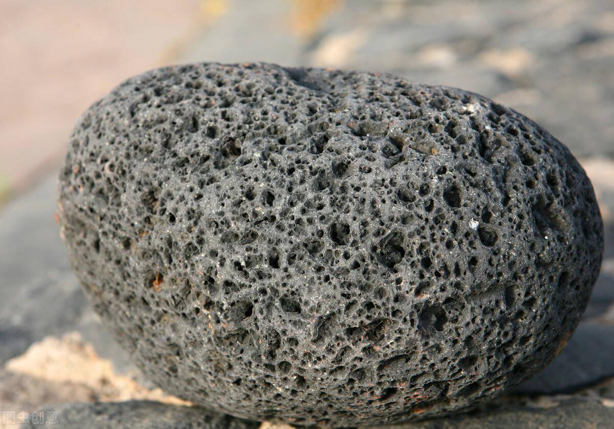 微量元素是哪6种（微量元素种类）-硒宝网