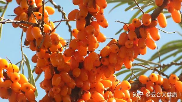 补硒与牛皮癣的治疗(新硒望科学补硒协会)-硒宝网