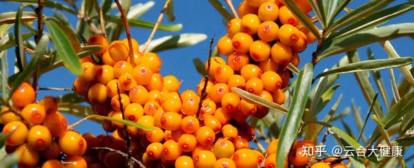 补硒与牛皮癣的治疗(新硒望科学补硒协会)-硒宝网