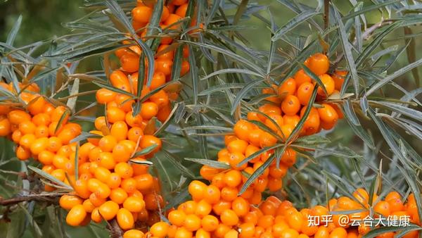 补硒与牛皮癣的治疗(新硒望科学补硒协会)-硒宝网