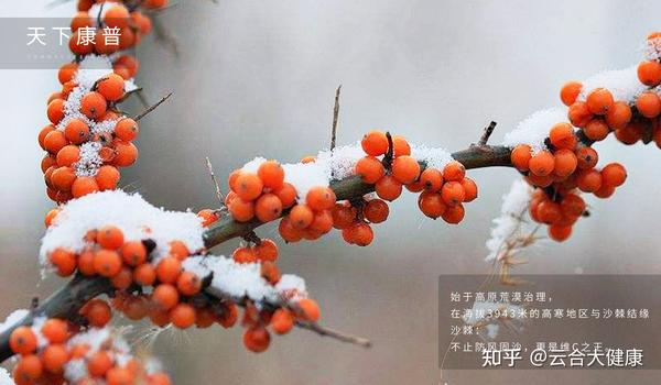 补硒与牛皮癣的治疗(新硒望科学补硒协会)-硒宝网